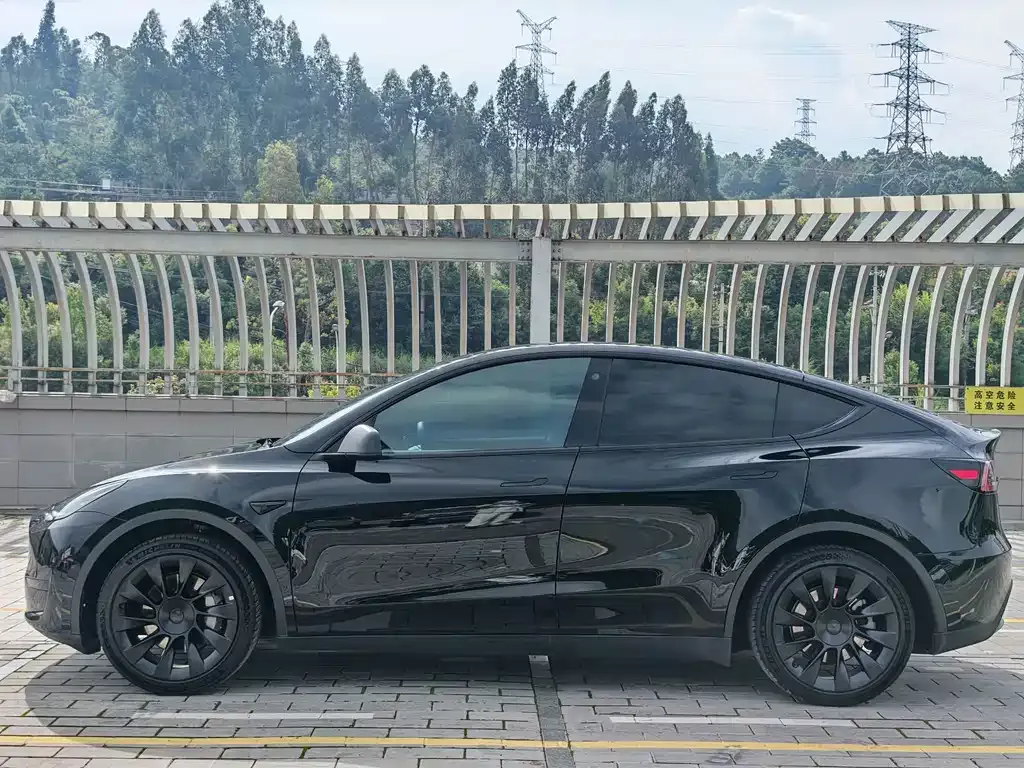 Tesla Model Y — фото 3