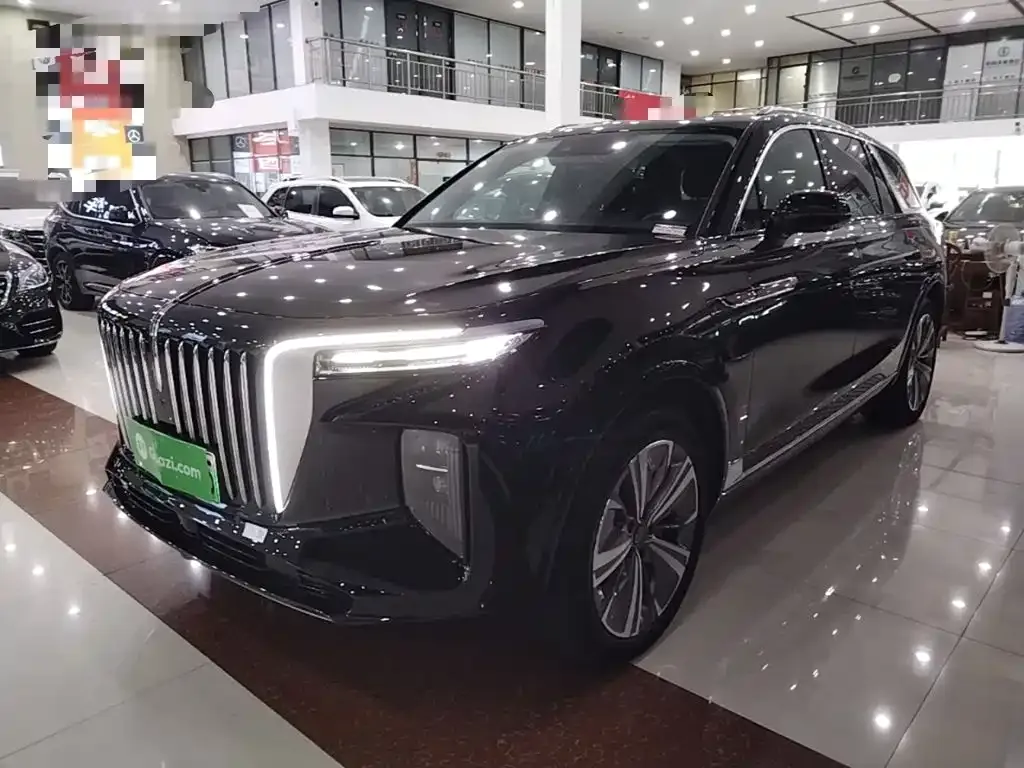 Hongqi E-HS9 — фото 1