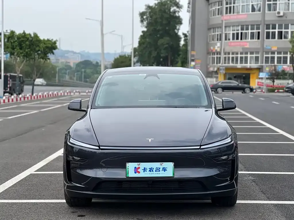 Tesla Model Y — фото 2