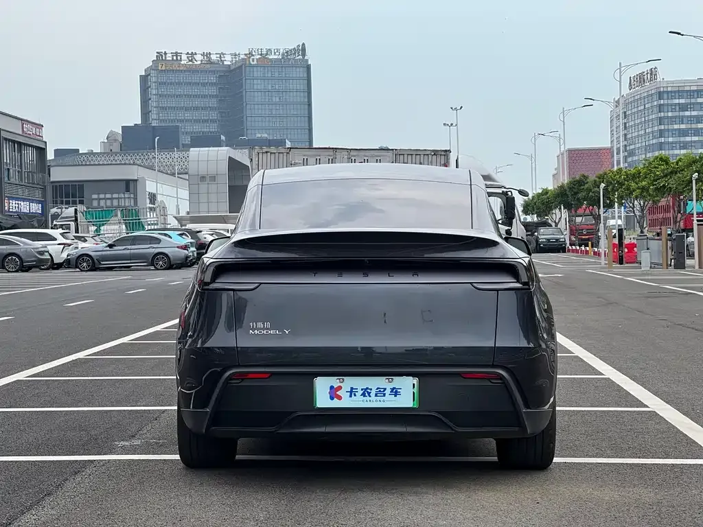 Tesla Model Y — фото 9