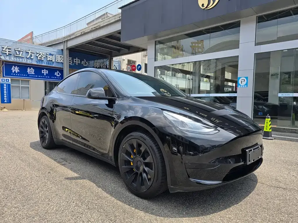 Tesla Model Y — фото 1