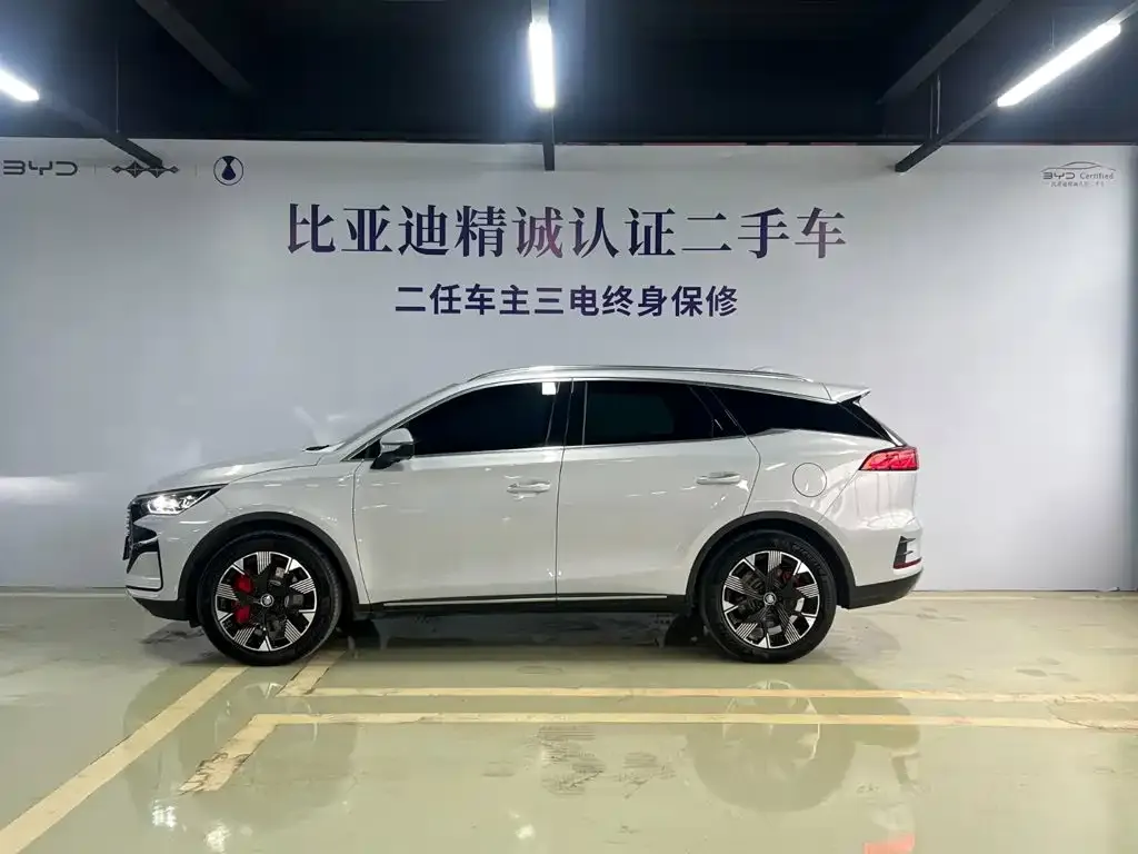 BYD Tang New Energy — фото 3