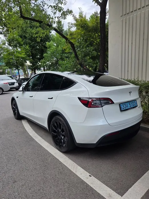 Tesla Model Y — фото 4