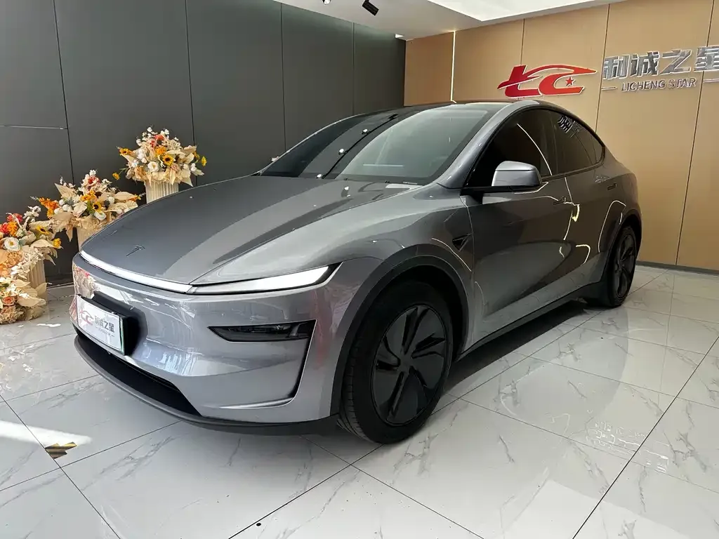 Tesla Model Y — фото 1