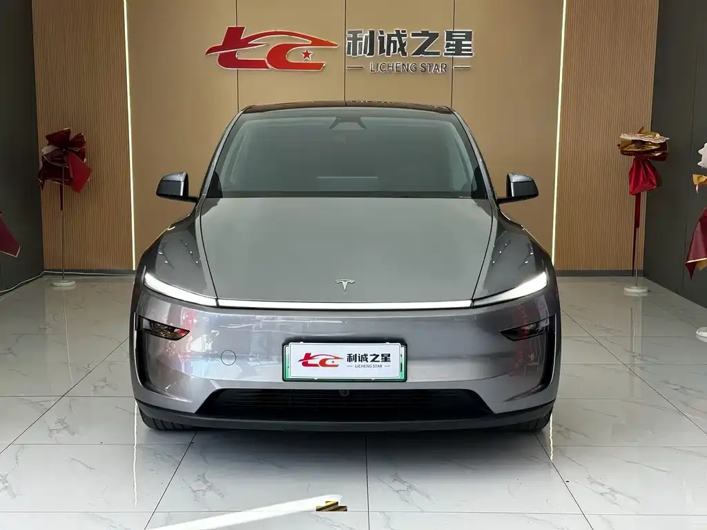 Tesla Model Y — фото 10
