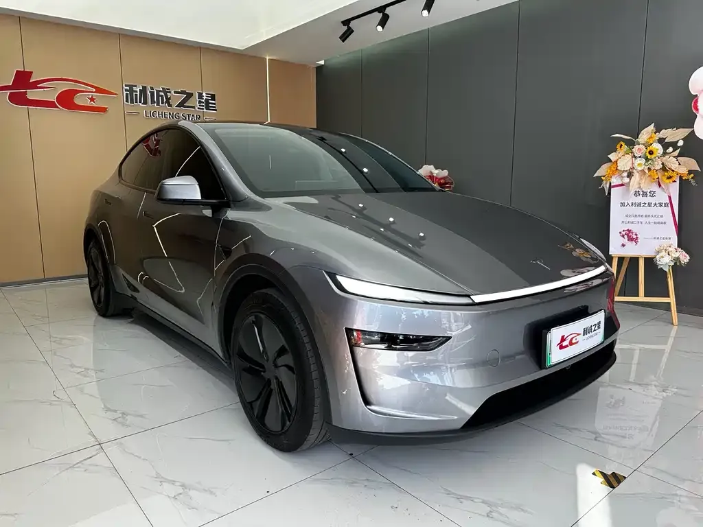 Tesla Model Y — фото 4
