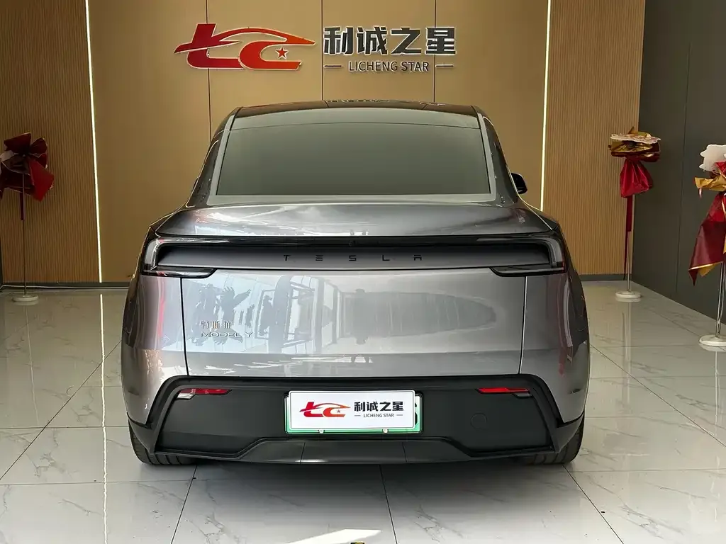 Tesla Model Y — фото 2