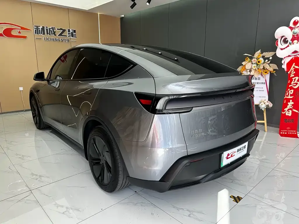 Tesla Model Y — фото 6