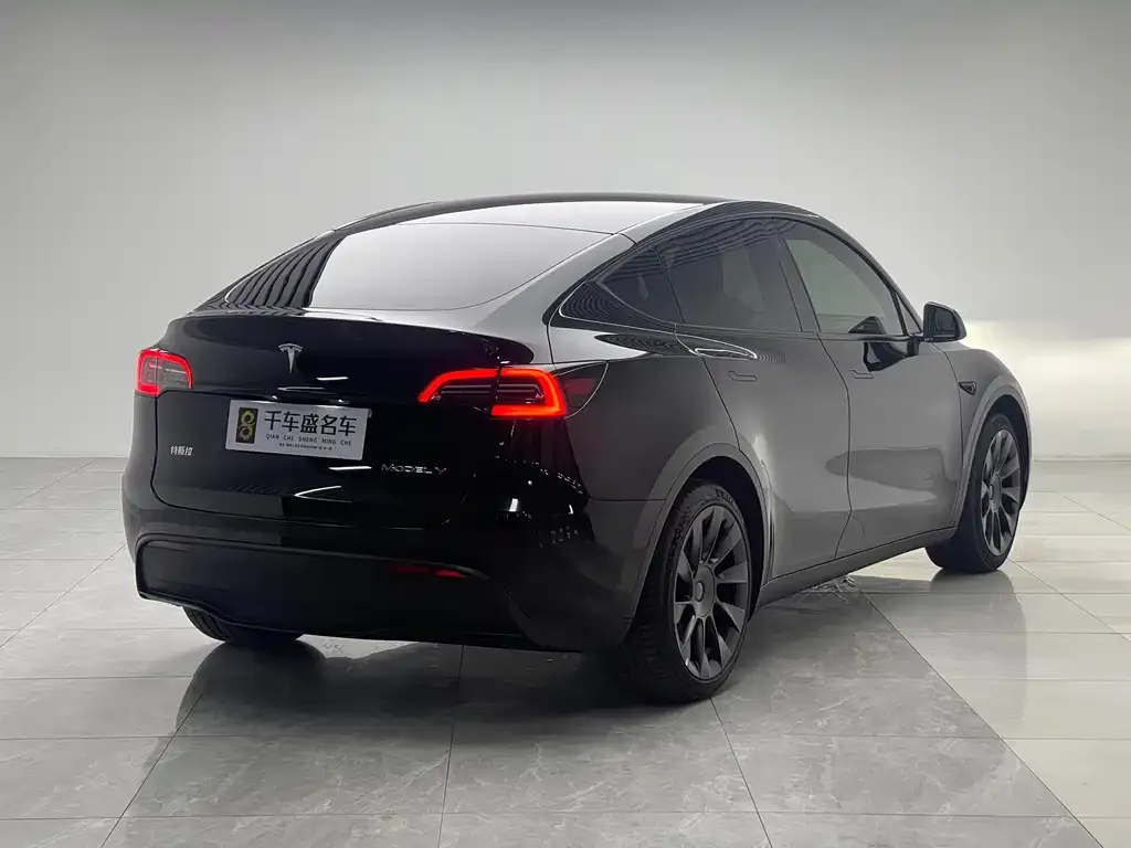 Tesla Model Y — фото 10