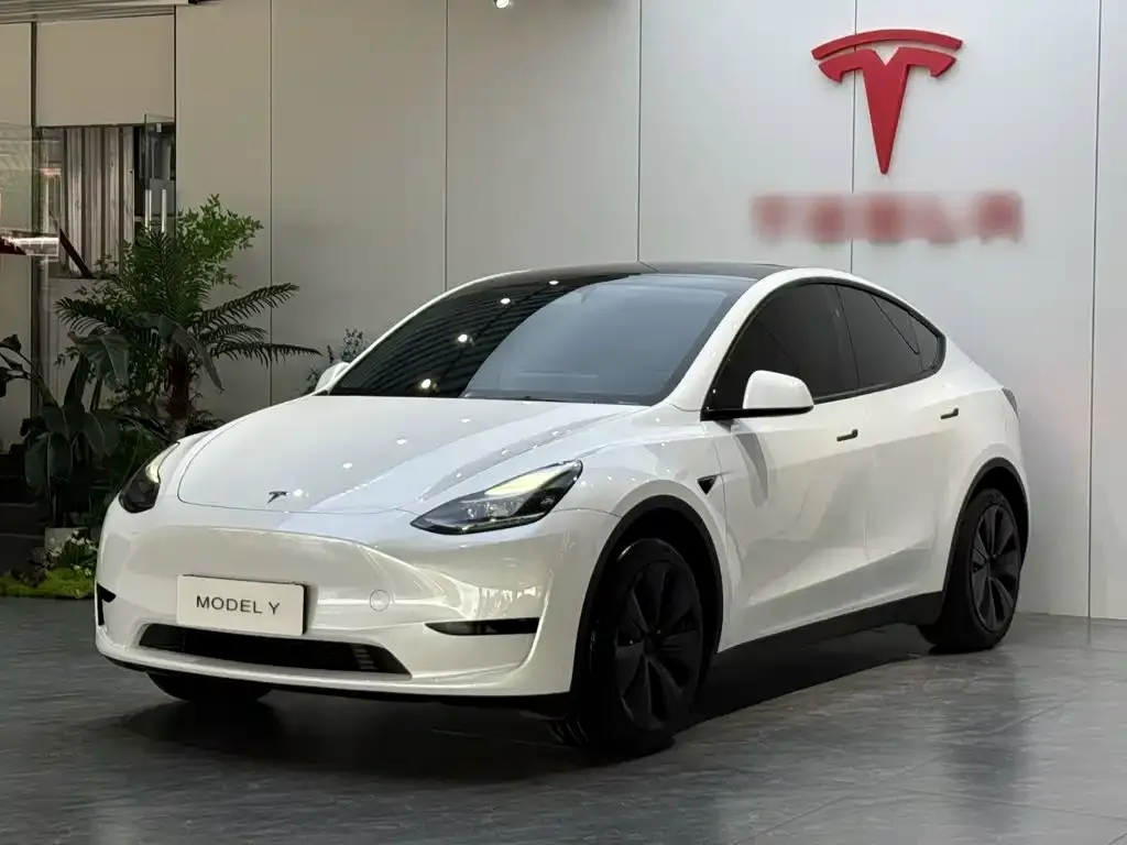 Tesla Model Y — фото 5