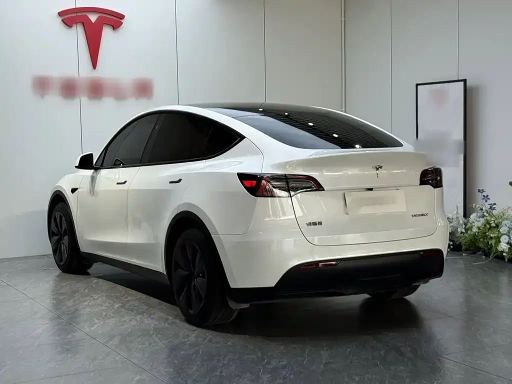Tesla Model Y — фото 3