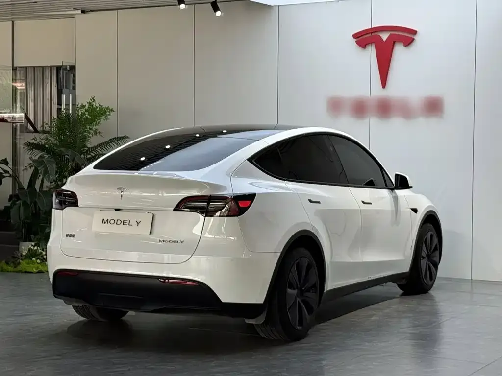 Tesla Model Y — фото 9