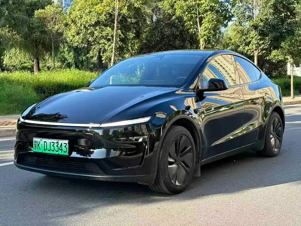 Tesla Model Y — фото 1