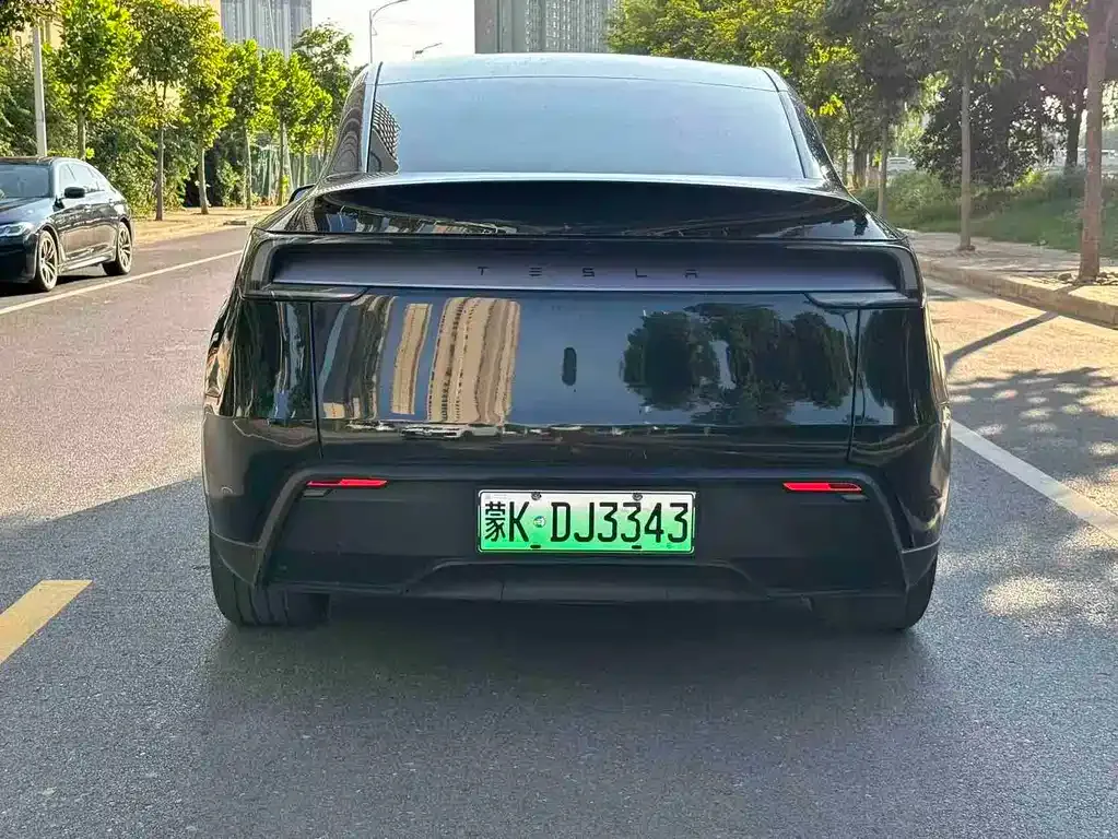 Tesla Model Y — фото 6