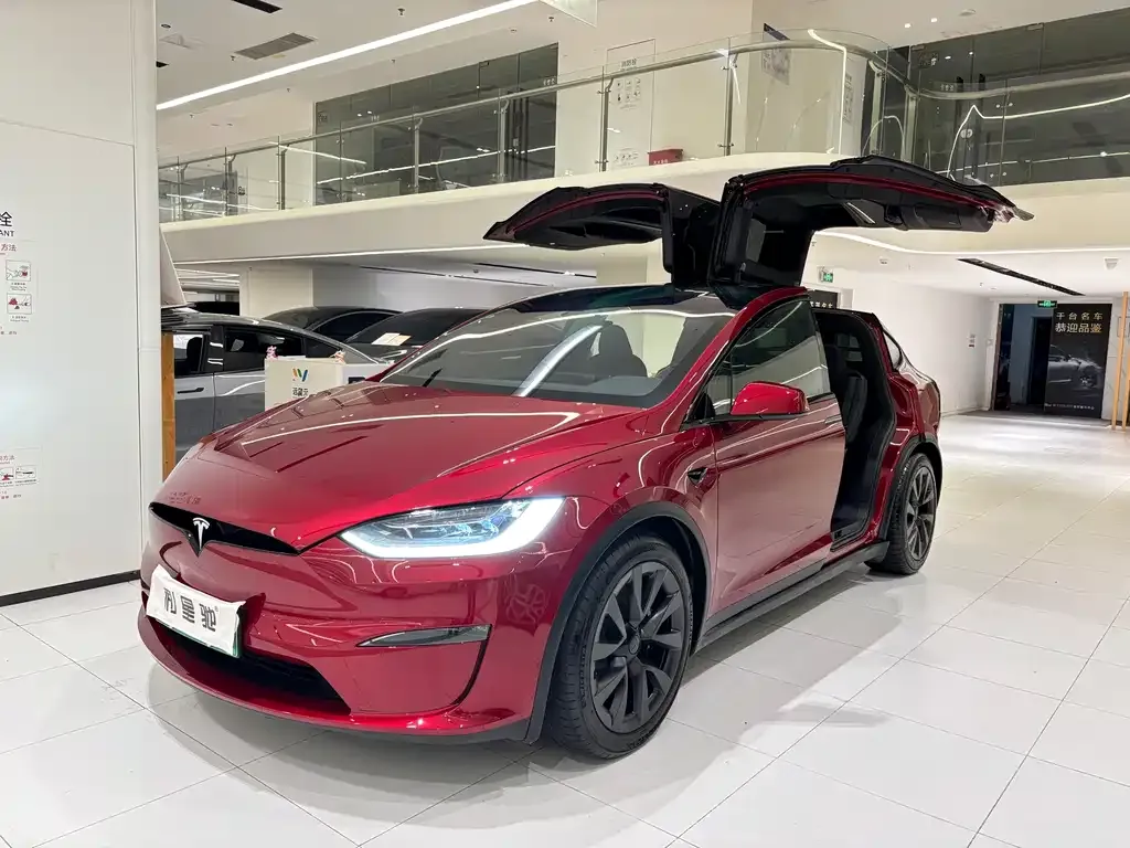 Tesla Model X — фото 1