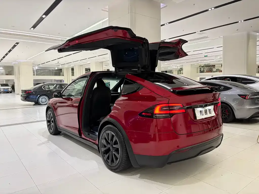 Tesla Model X — фото 5