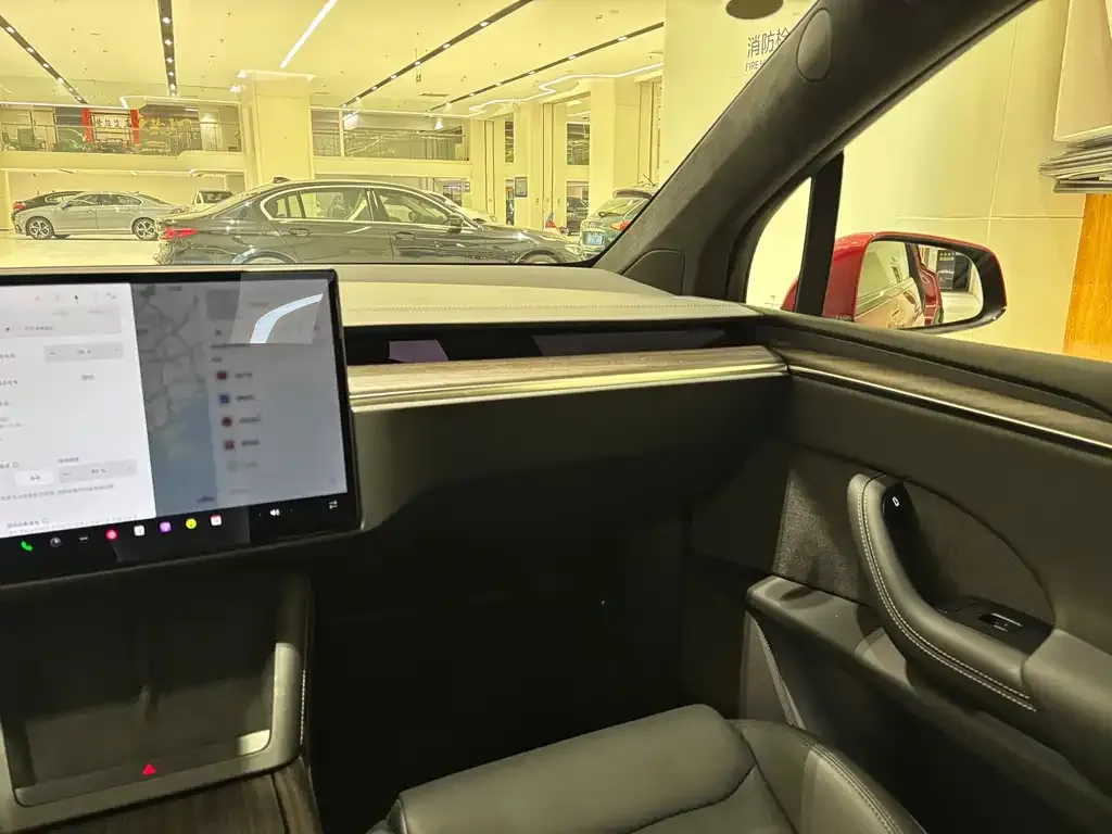 Tesla Model X — фото 3