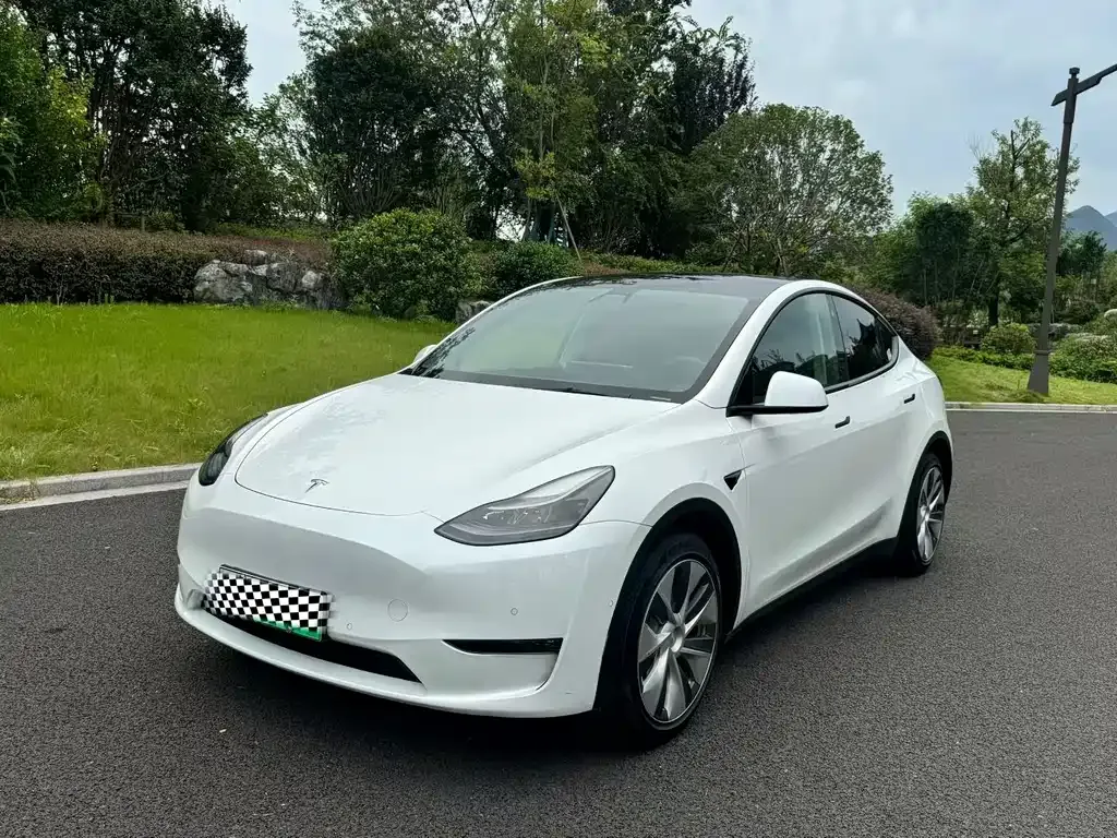 Tesla Model Y — фото 1