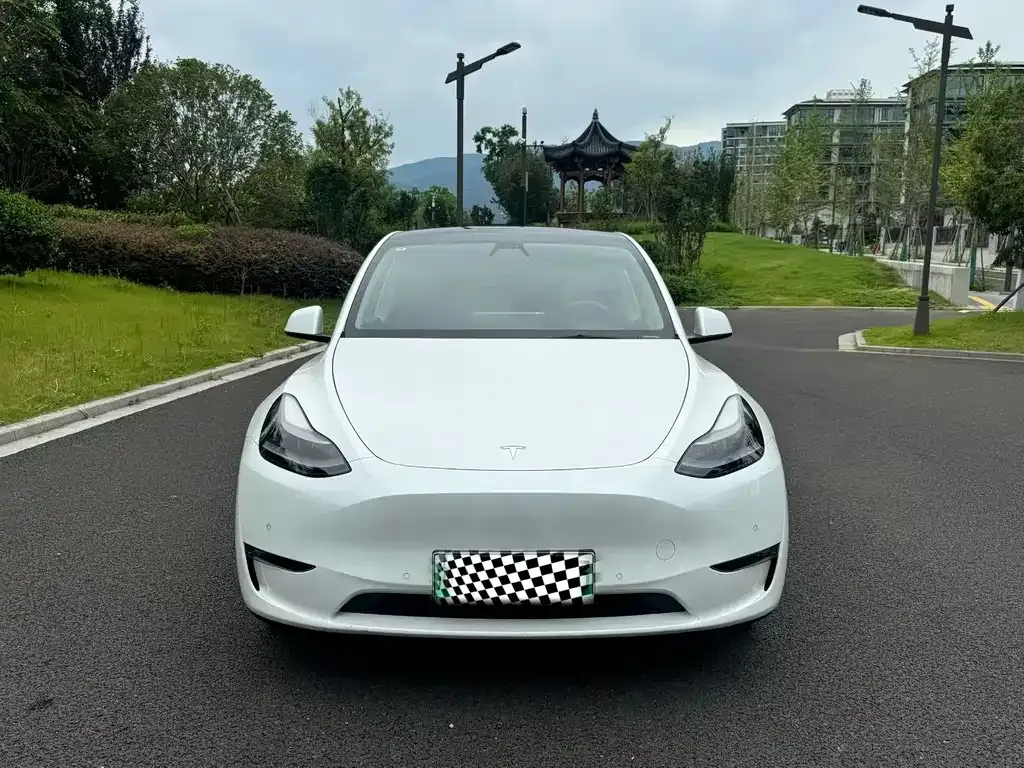 Tesla Model Y — фото 6