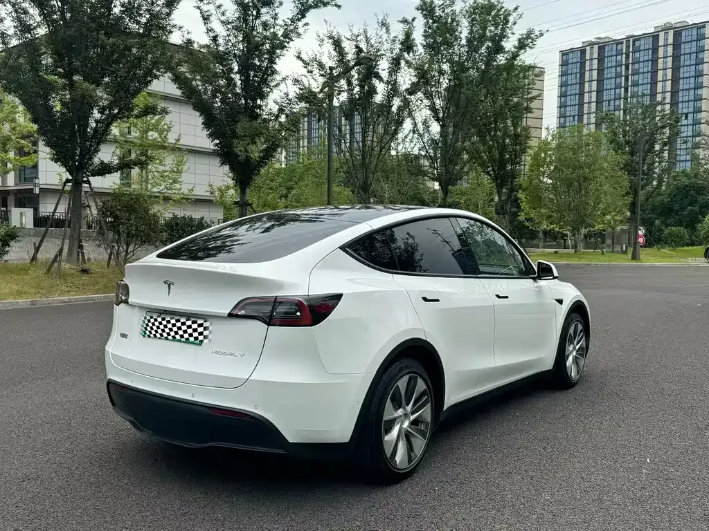 Tesla Model Y — фото 7
