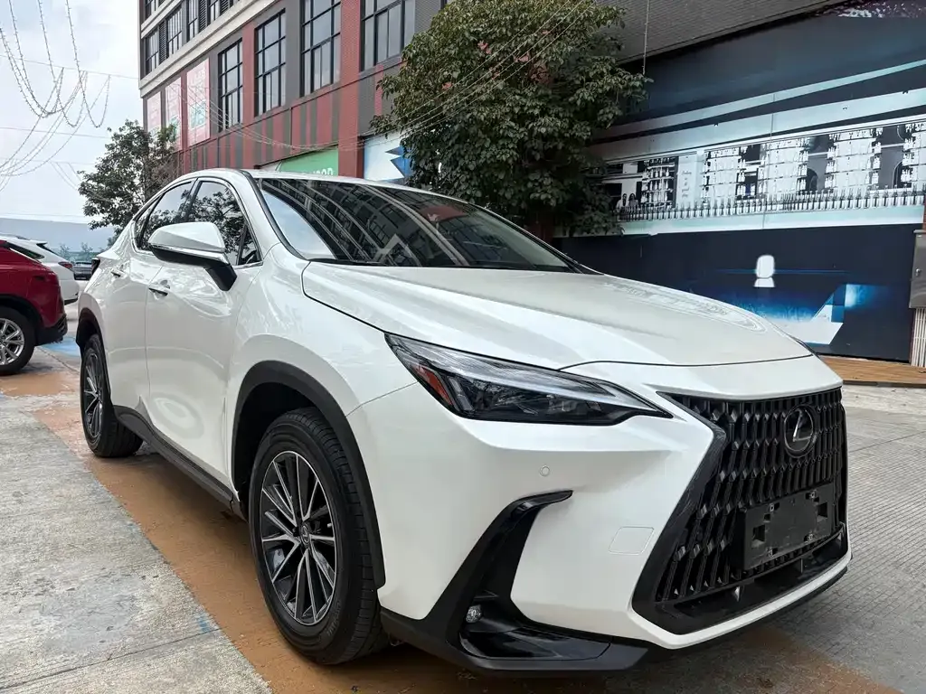 Lexus NX — фото 10