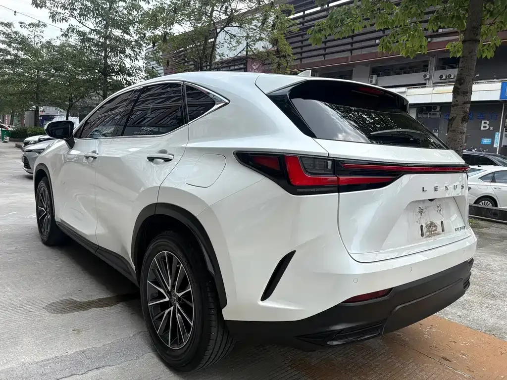Lexus NX — фото 6