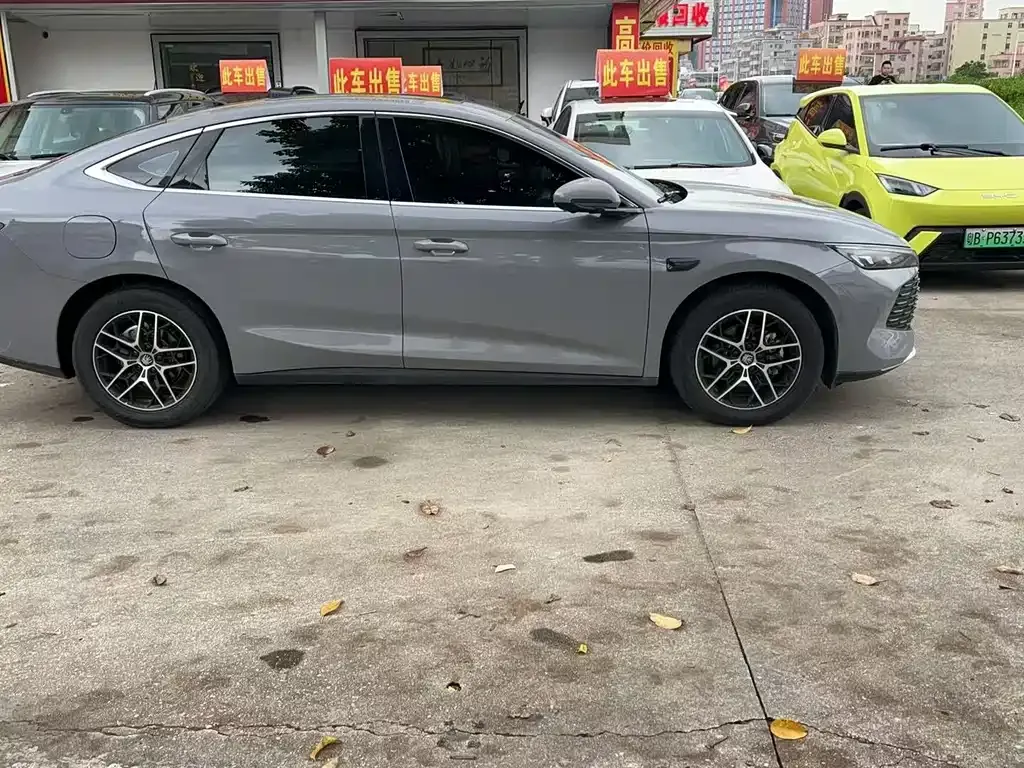 BYD Qin L — фото 6