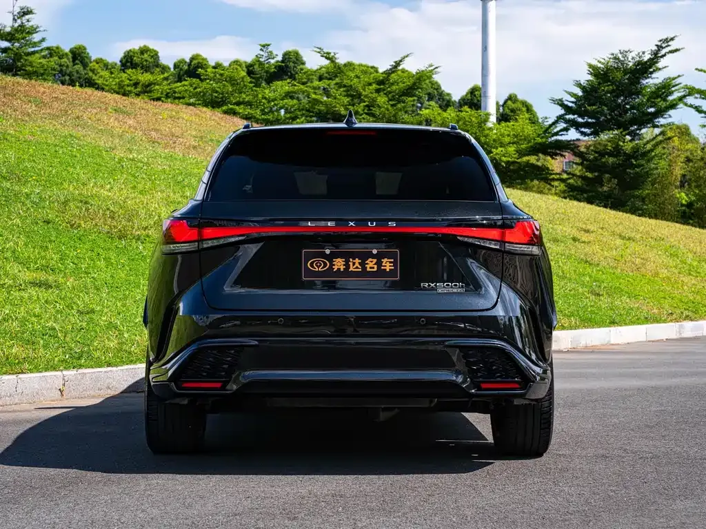 Lexus RX — фото 8