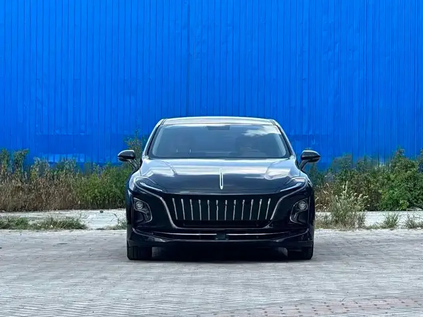 Hongqi E-QM5 — фото 8