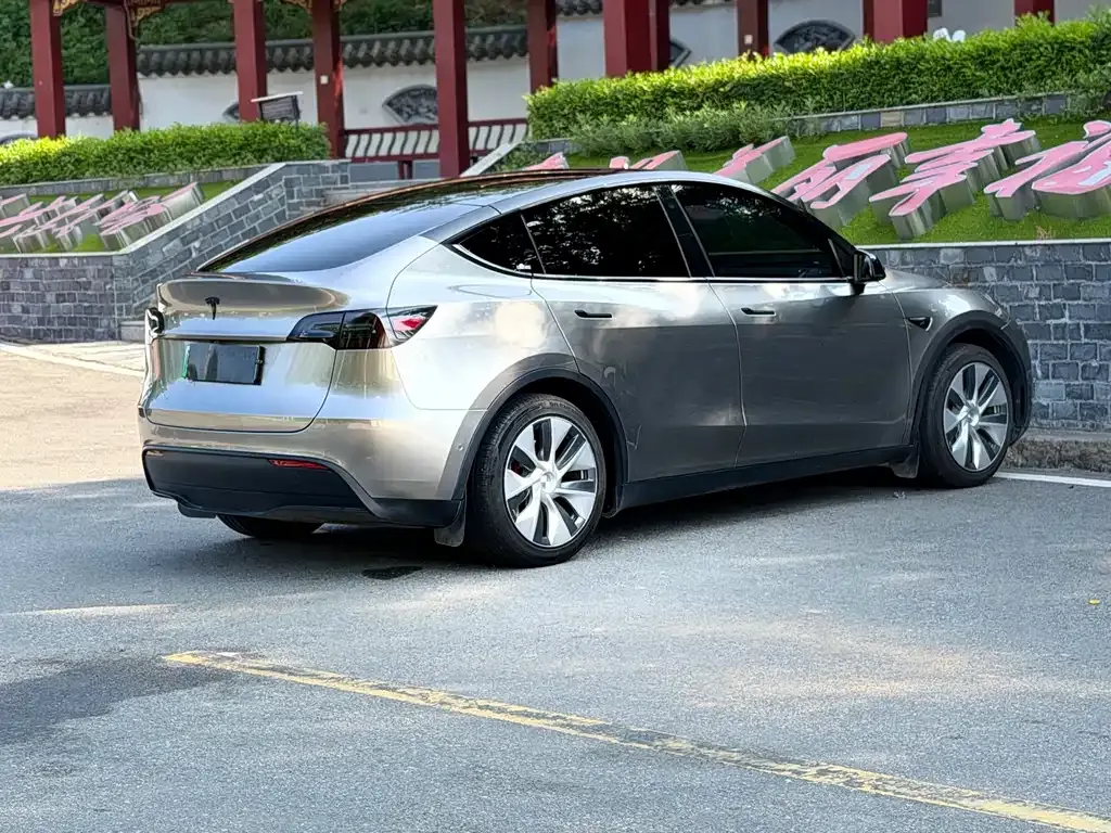 Tesla Model Y — фото 9