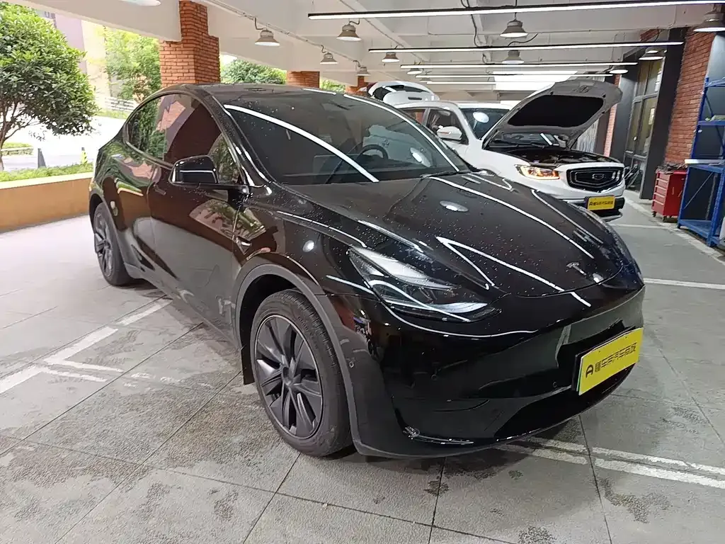 Tesla Model Y — фото 2
