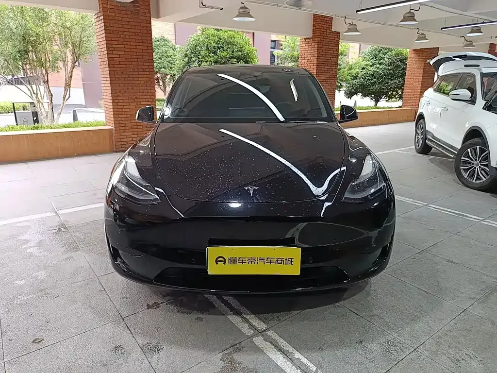 Tesla Model Y — фото 9