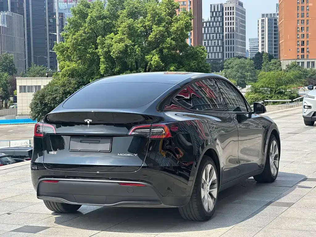 Tesla Model Y — фото 4