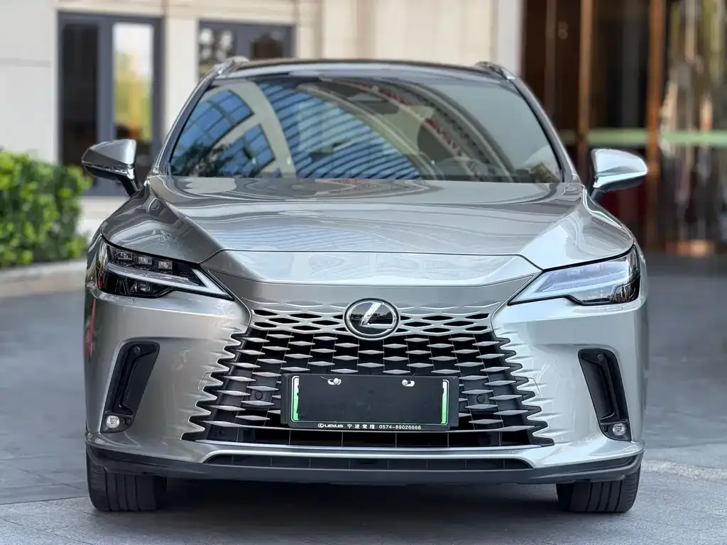 Lexus RX New Energy — фото 7