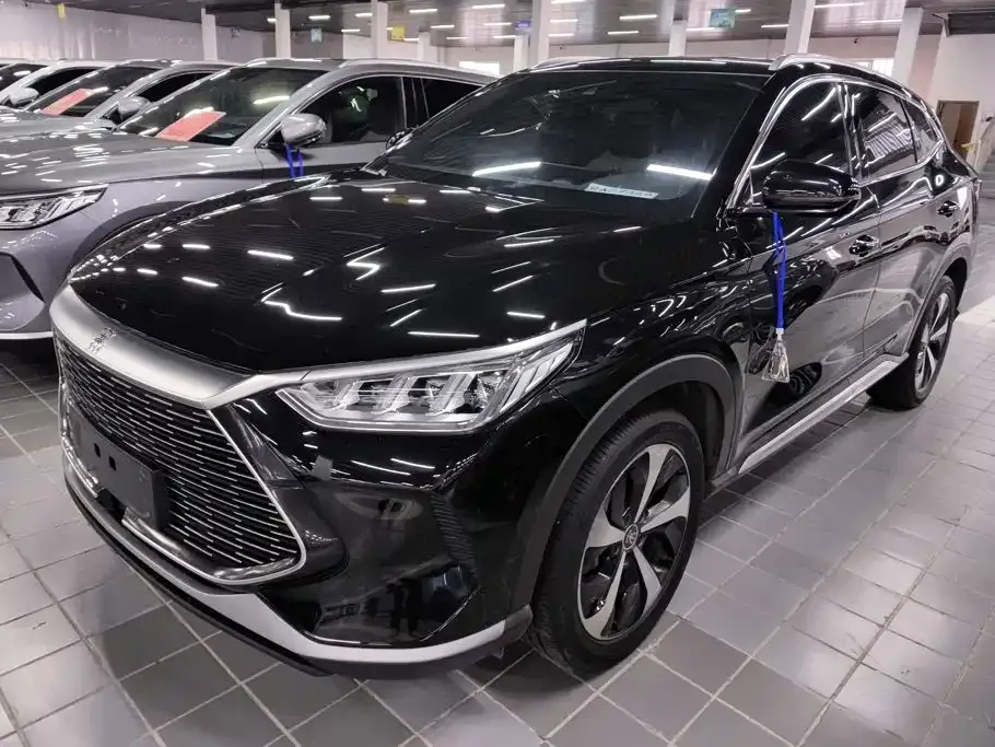 BYD PLUS New Energy — фото 1