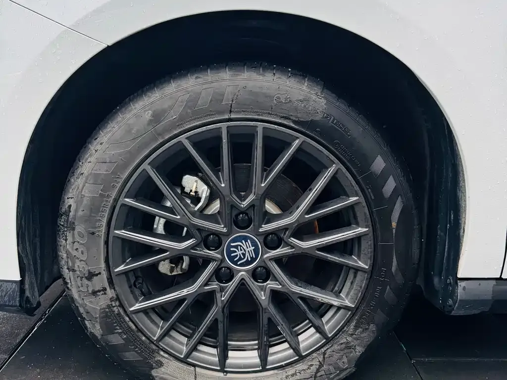 BYD Qin PLUS — фото 4