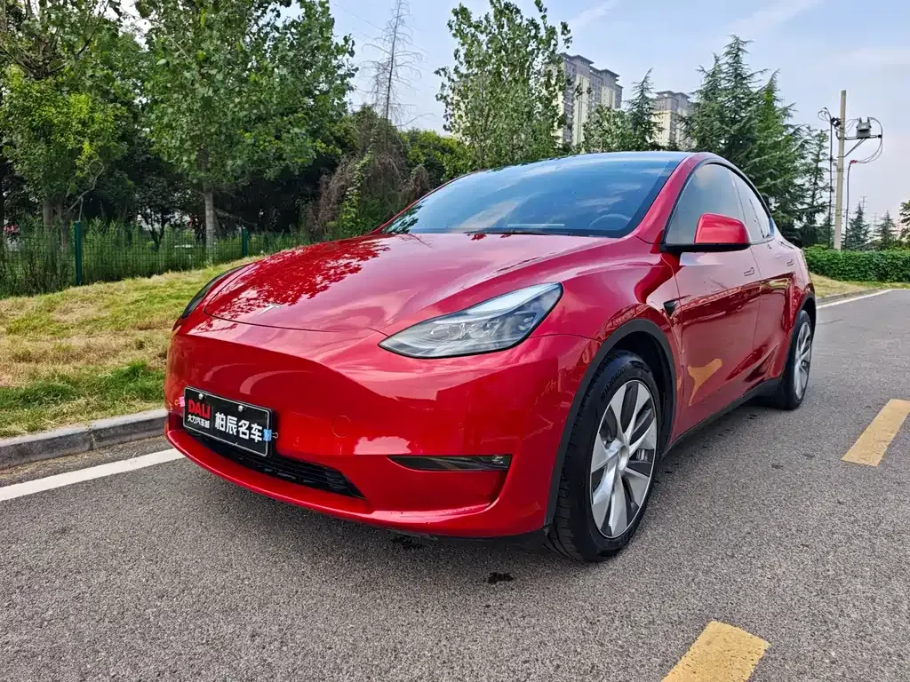 Tesla Model Y — фото 1