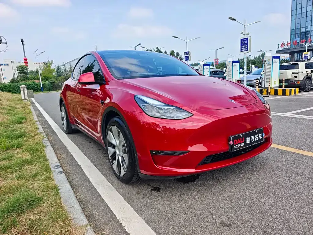 Tesla Model Y — фото 6