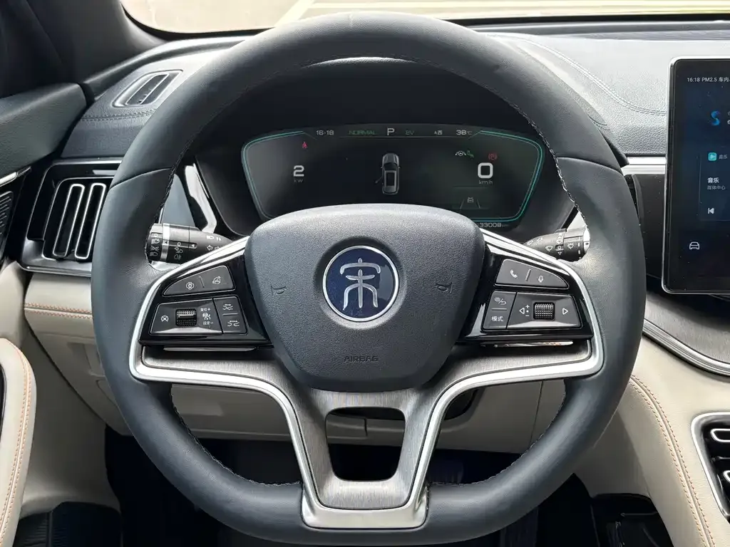 BYD PLUS New Energy — фото 2