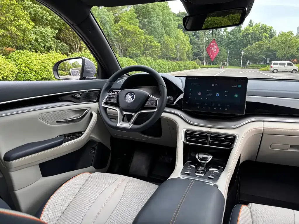 BYD PLUS New Energy — фото 10