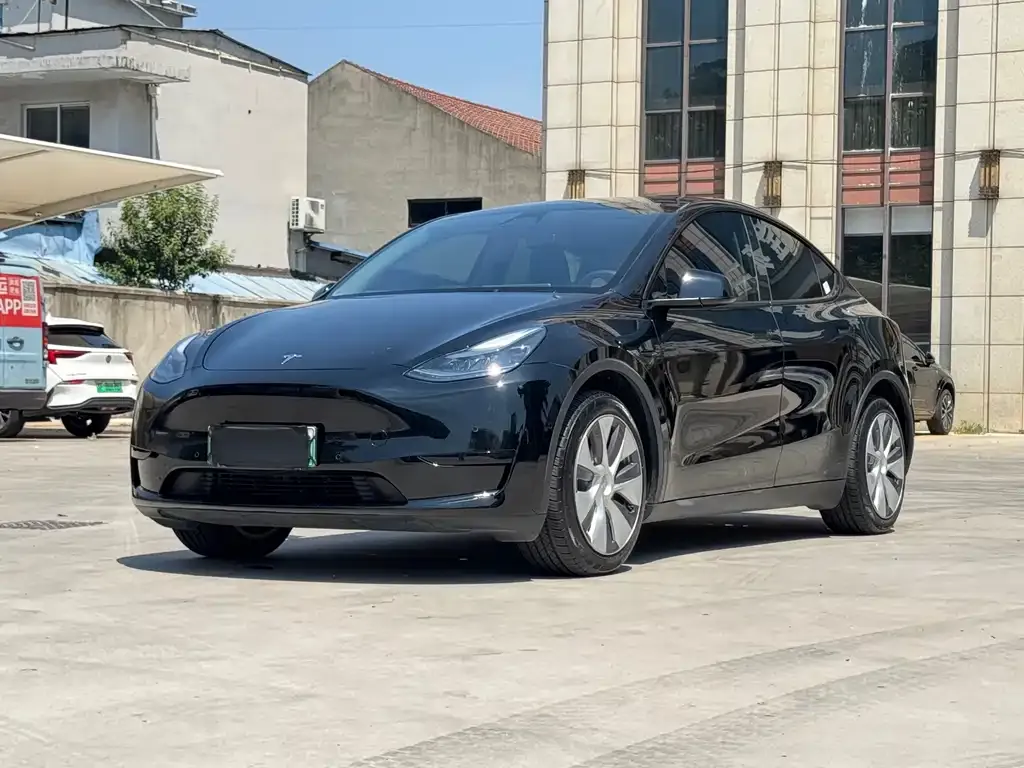 Tesla Model Y — фото 1