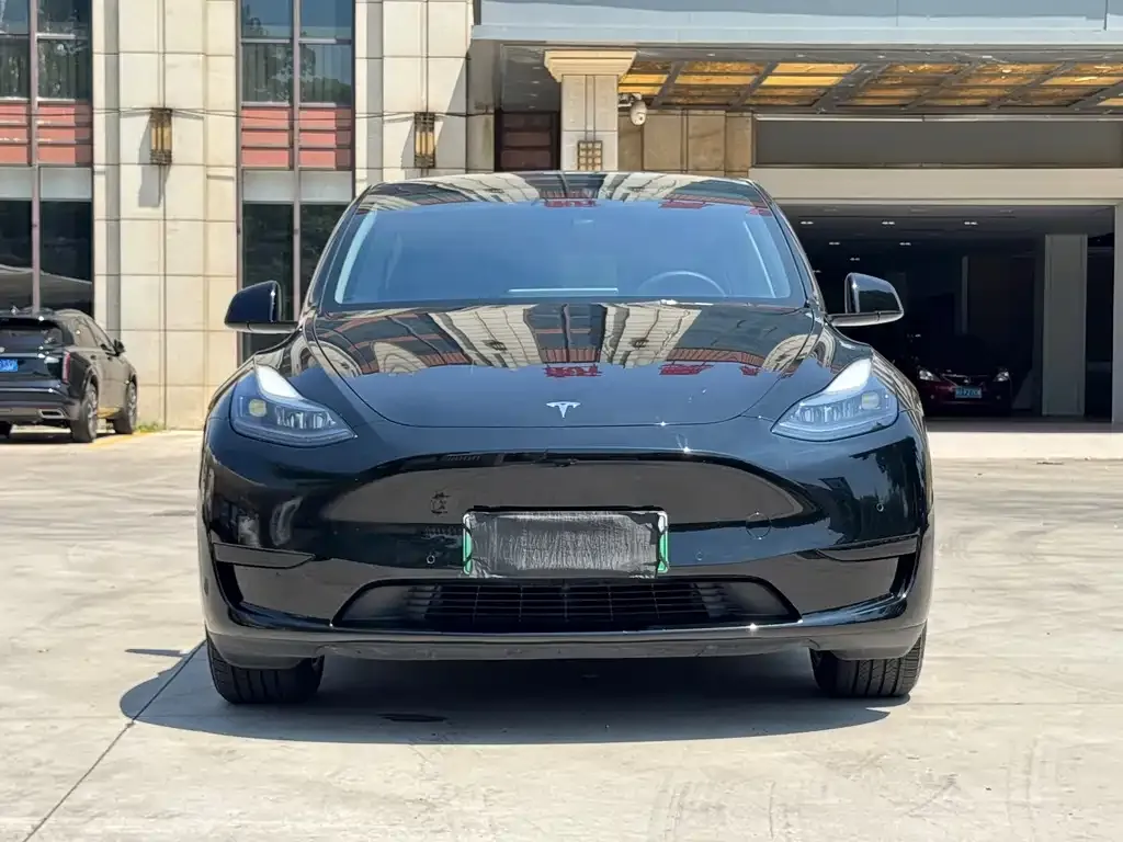 Tesla Model Y — фото 2
