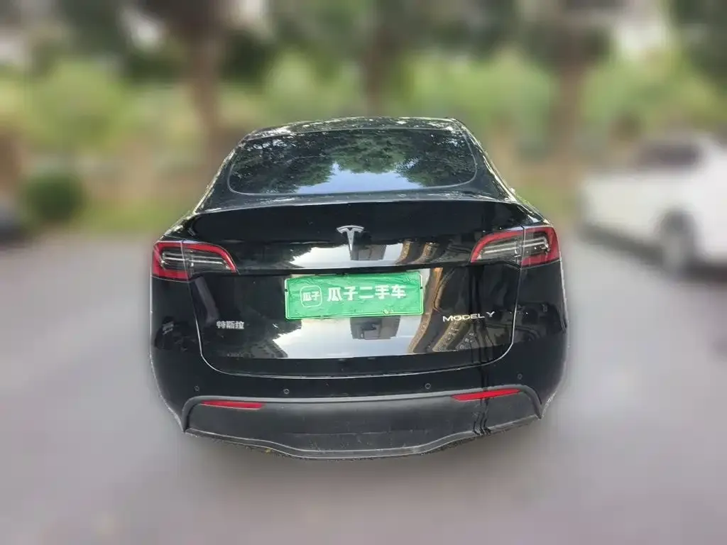 Tesla Model Y — фото 10
