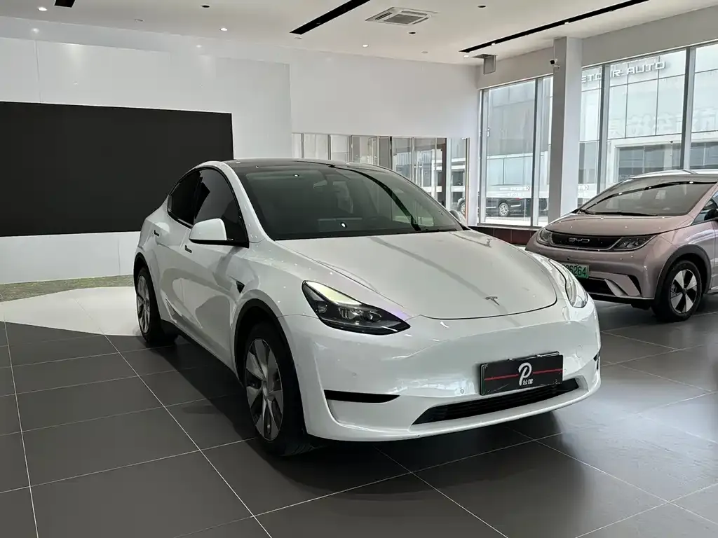 Tesla Model Y — фото 1