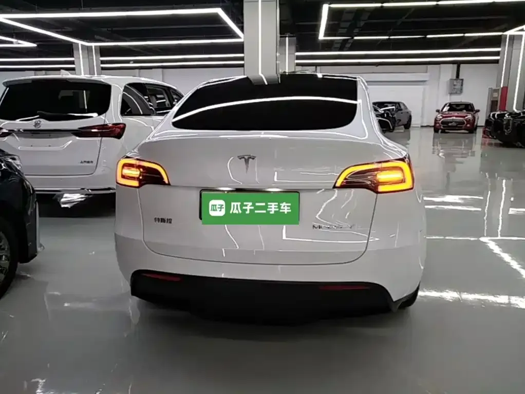 Tesla Model Y — фото 3