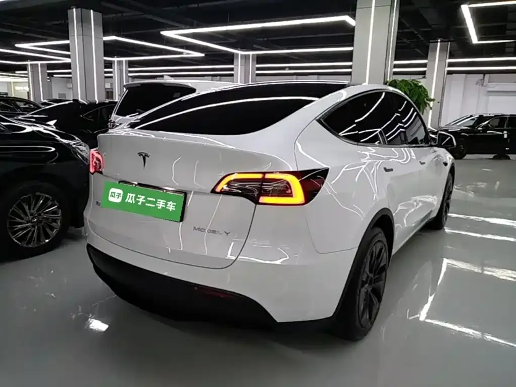 Tesla Model Y — фото 10