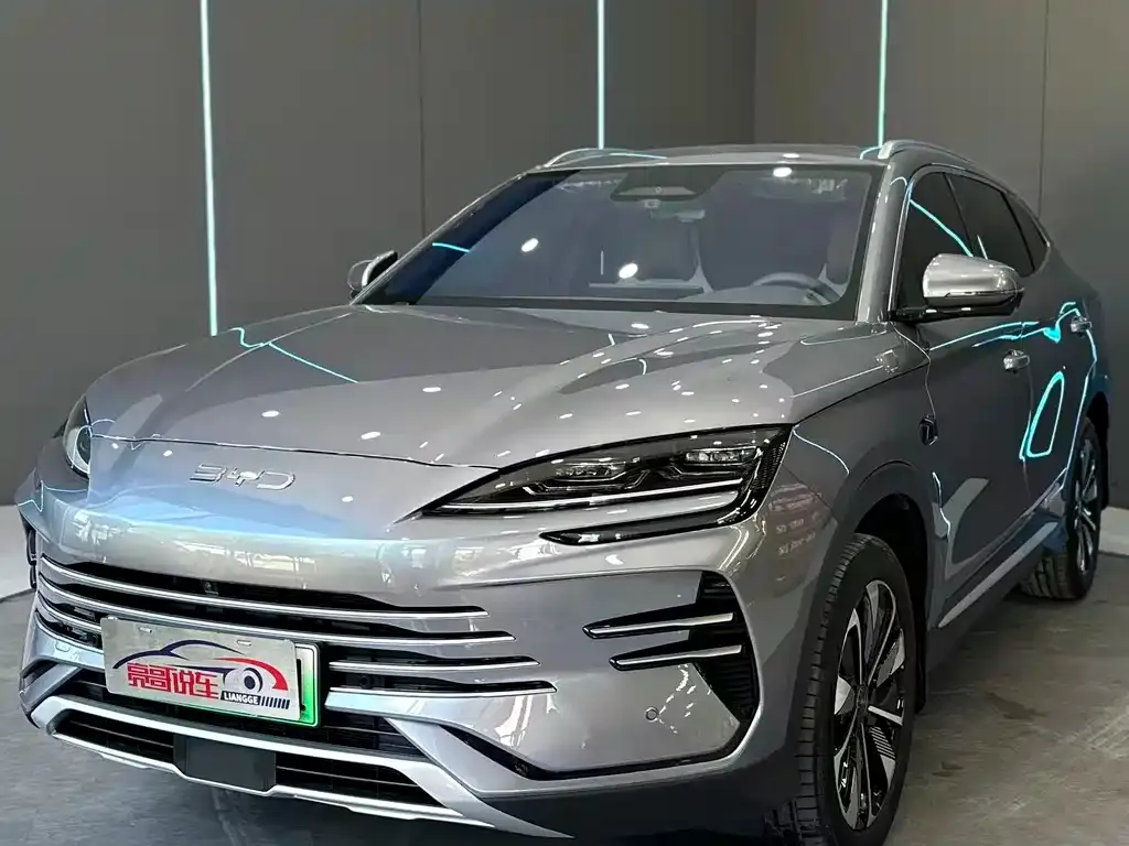 BYD PLUS New Energy — фото 1
