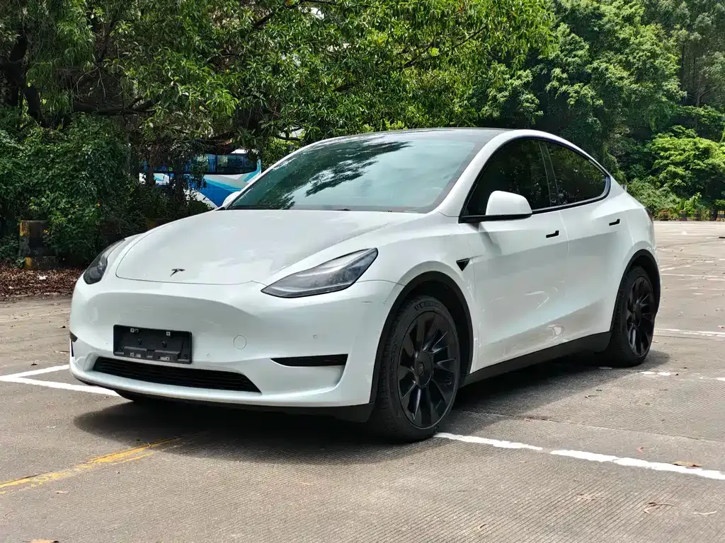 Tesla Model Y — фото 1