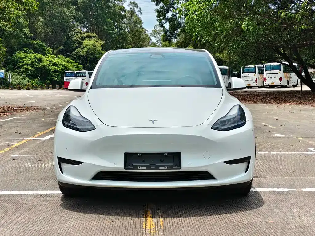 Tesla Model Y — фото 9