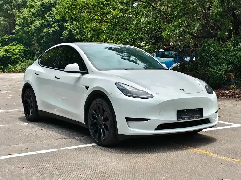 Tesla Model Y — фото 8
